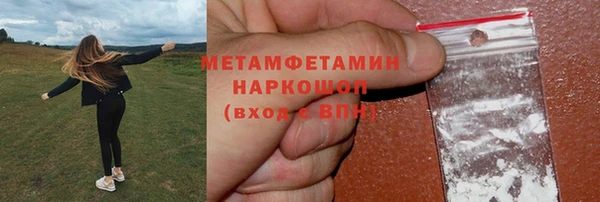 индика Белокуриха