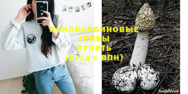 спиды Киреевск