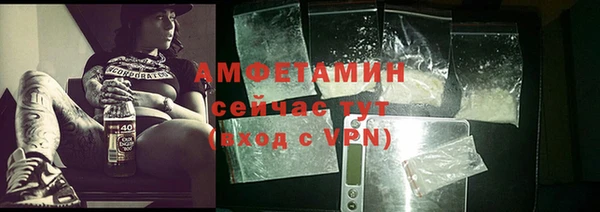 индика Белокуриха
