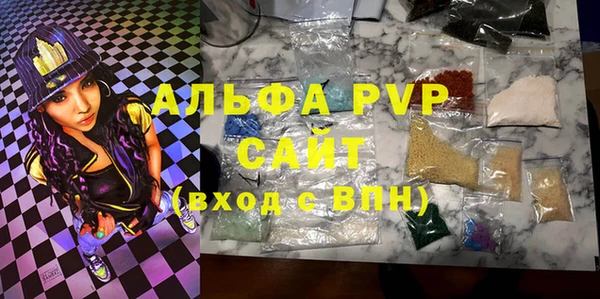 индика Белокуриха