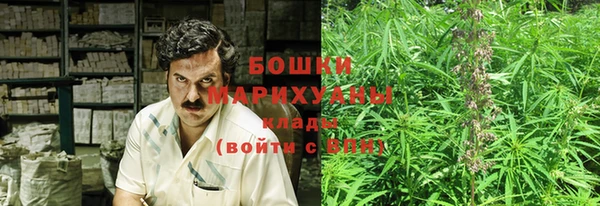 индика Белокуриха