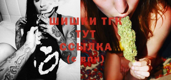 индика Белокуриха