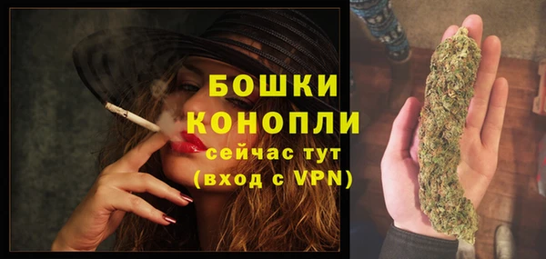 индика Белокуриха