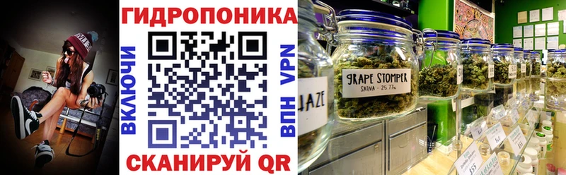 Каннабис конопля  Володарск 